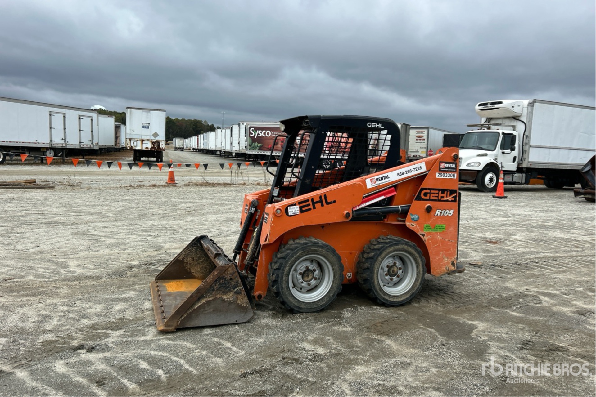 General Appearance with Spin