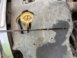 Motor with 