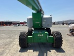 General Appearance with Paint