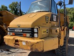 General Appearance with Paint