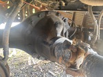 Underbody with 