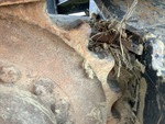 Undercarriage with 