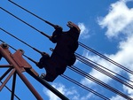 Crane Superstructure with 