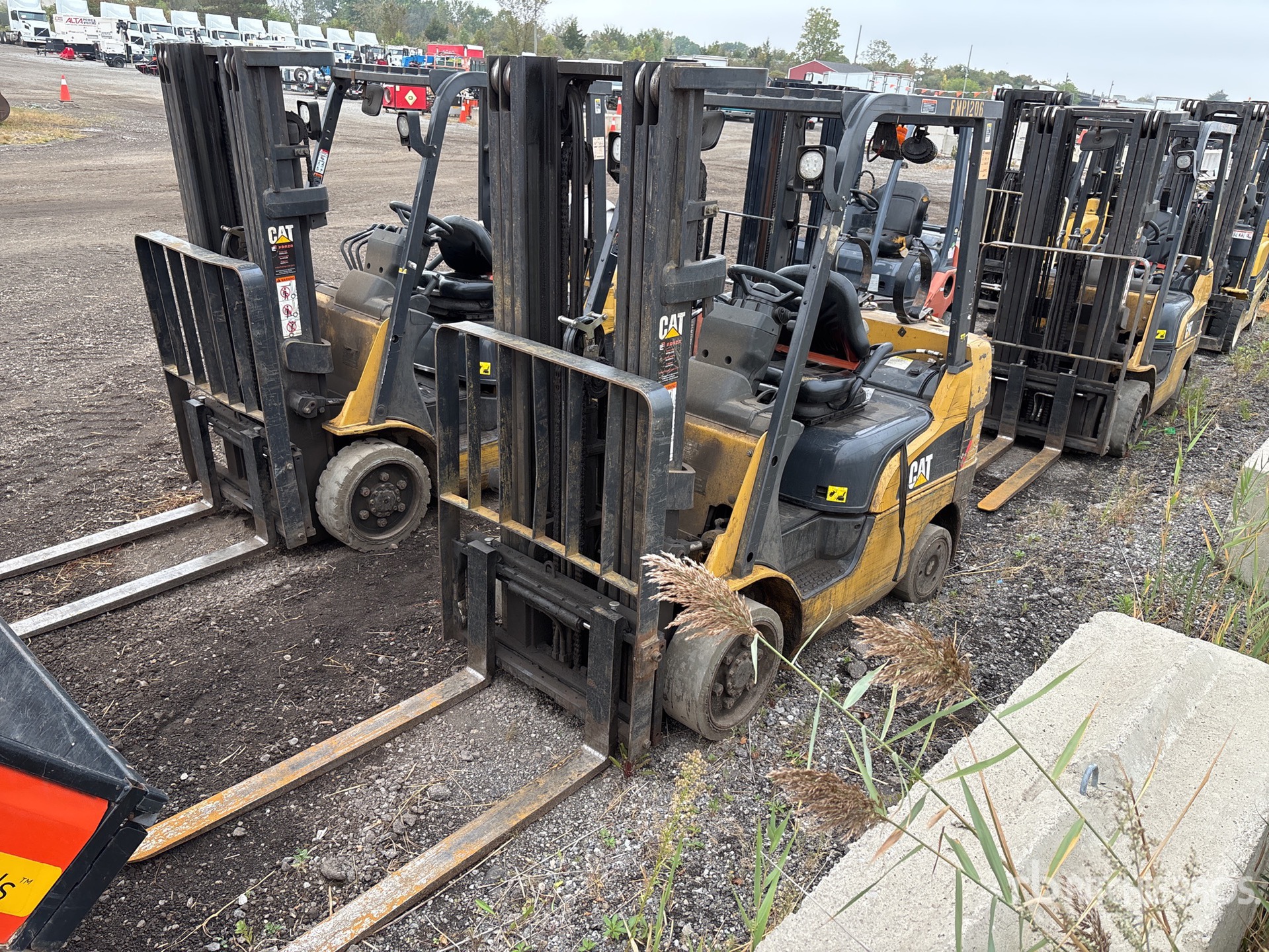 MONTACARGAS 2021 CATERPILLAR 2C5000