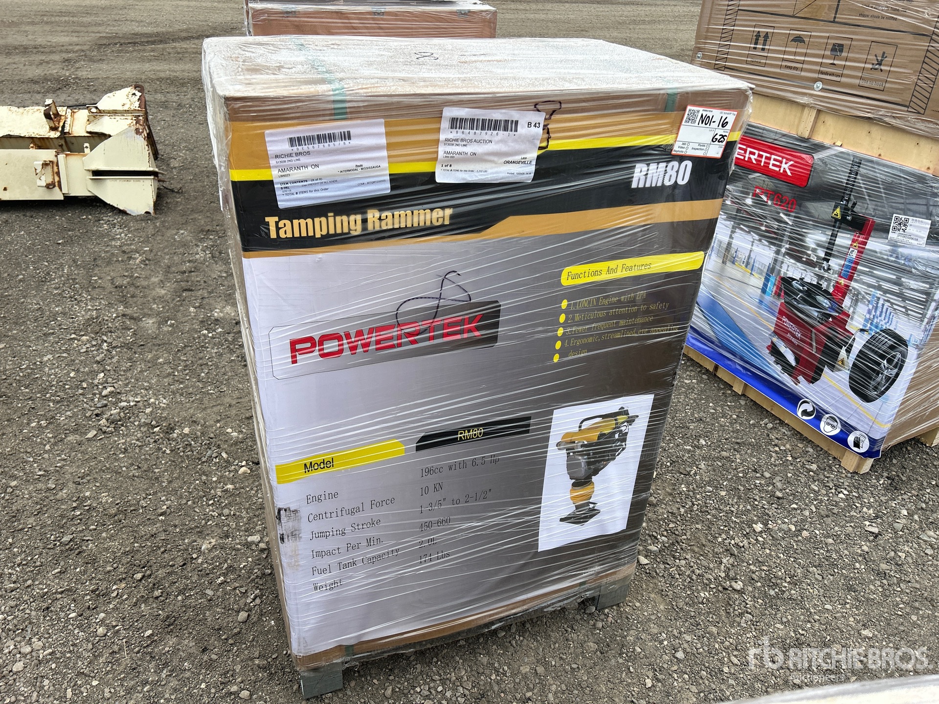 General Appearance with 