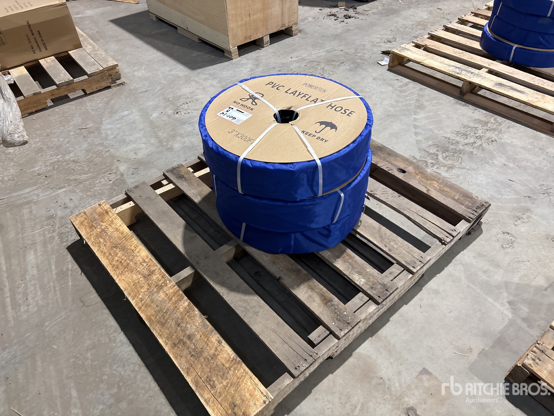 General Appearance with Image, coin arrière droit