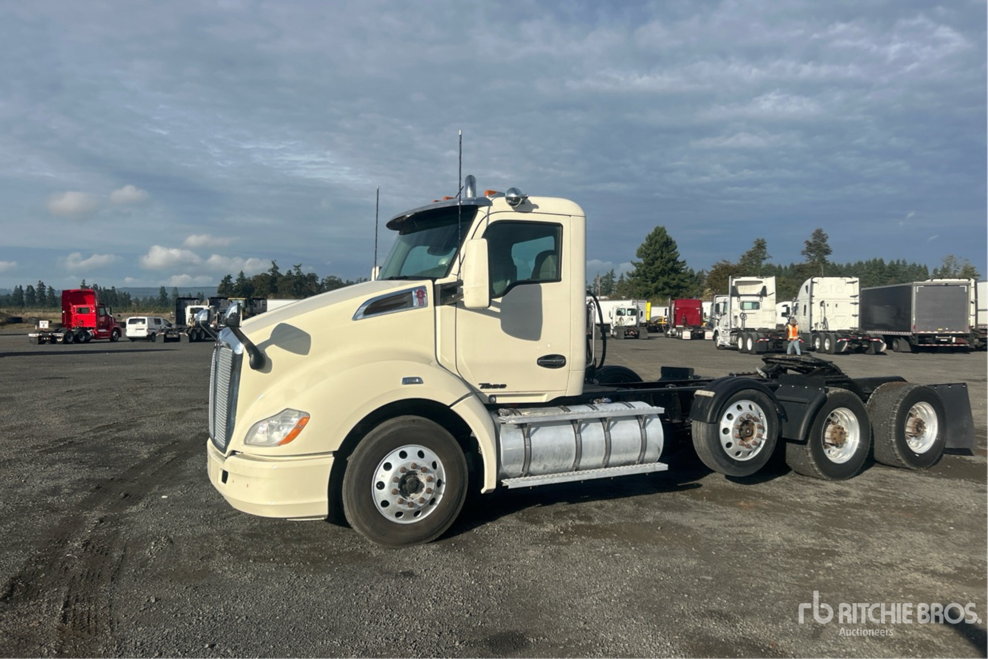 General Appearance with Spin