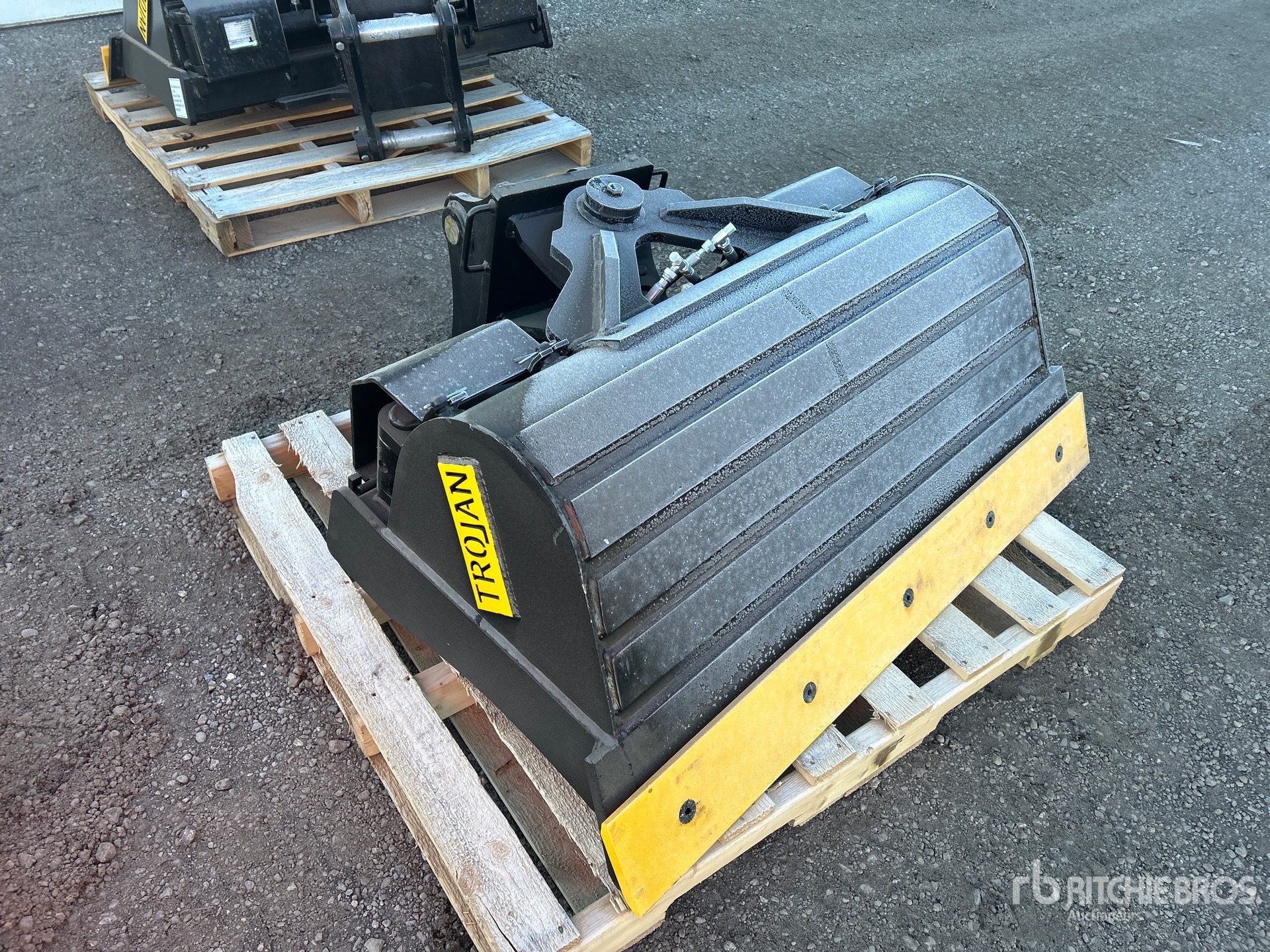 General Appearance with Zdjęcie, prawy dolny róg