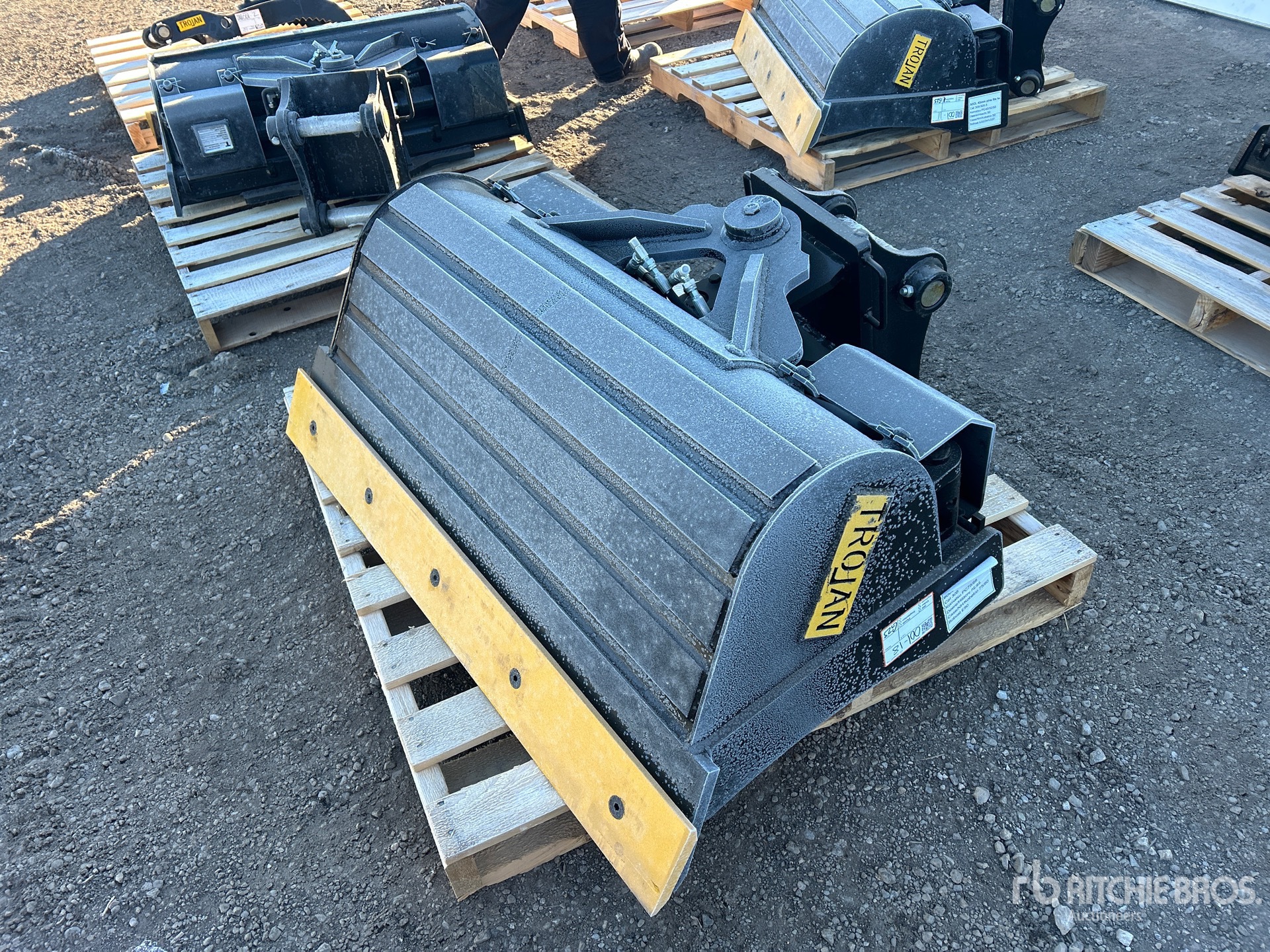 General Appearance with Zdjęcie, lewy dolny róg