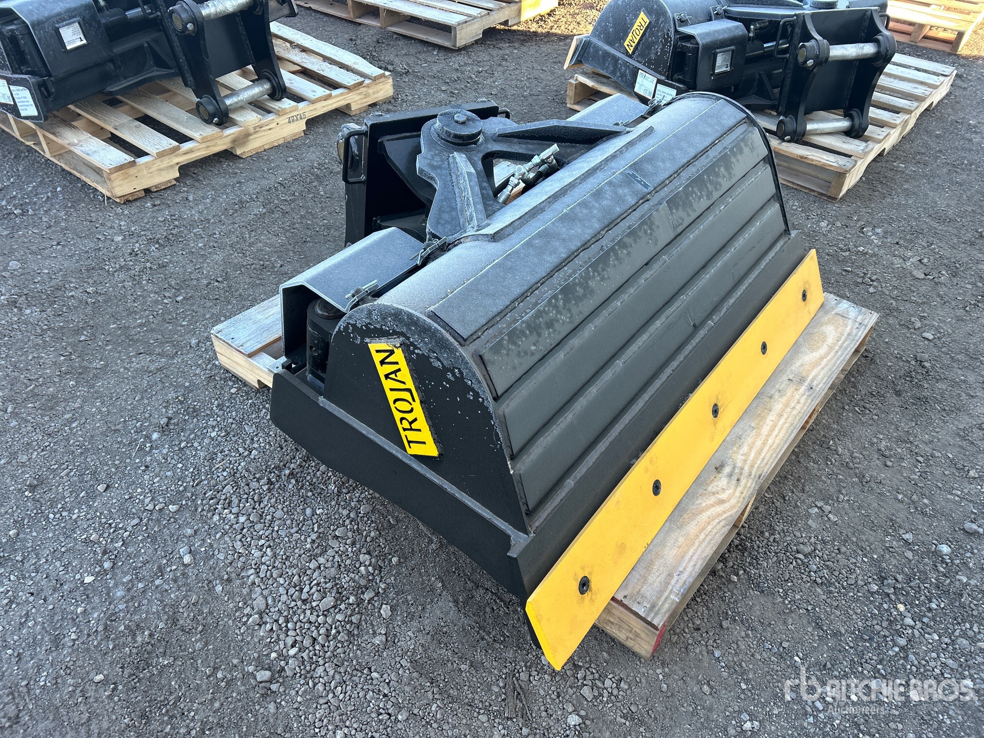 General Appearance with Zdjęcie, prawy górny róg