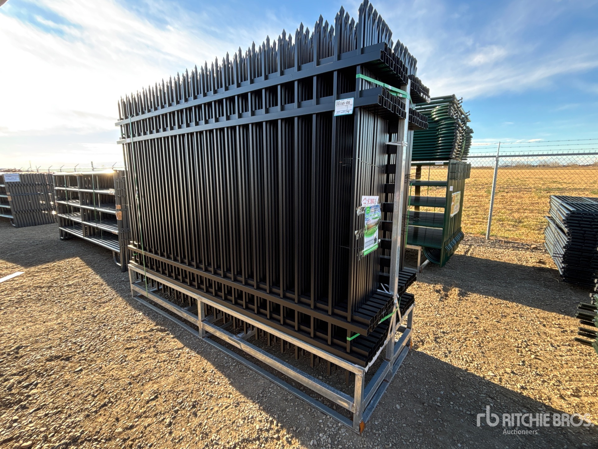 General Appearance with Foto, angolo anteriore sinistro