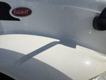 General Appearance with Pintura