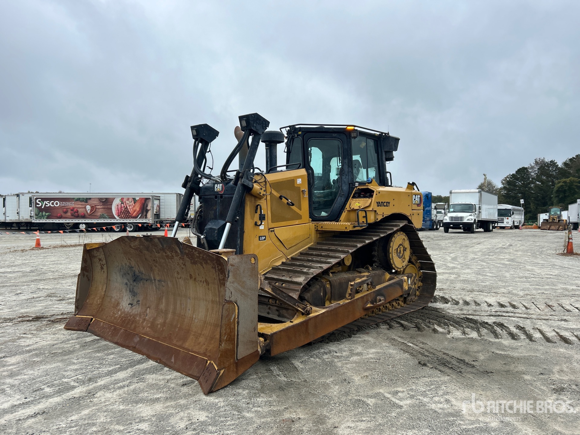 General Appearance with Spin