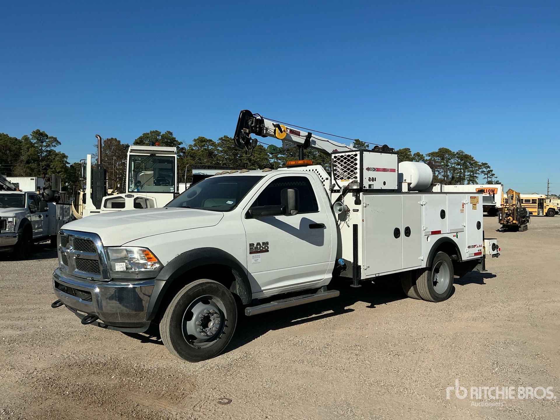 General Appearance with Spin