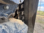 Undercarriage with 