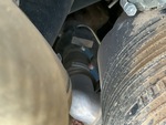Engine with Exhaust System