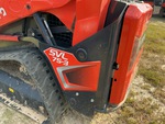 General Appearance with Paint