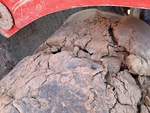 Rubber Track Undercarriage with 