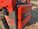 General Appearance with Paint