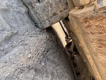 Chassis with Belly Pans