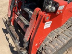 General Appearance with Paint