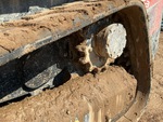 Rubber Track Undercarriage with 