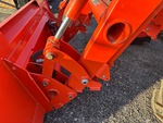General Appearance with Paint