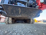 Chassis with Belly Pans