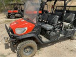 General Appearance with Paint