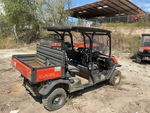 General Appearance with Paint