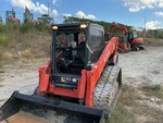 General Appearance with Paint