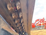 Rubber Track Undercarriage with 