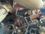 Engine with Exhaust System
