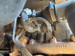 Engine with Exhaust System