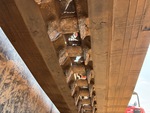 Rubber Track Undercarriage with Rubber Belt Drive Lugs