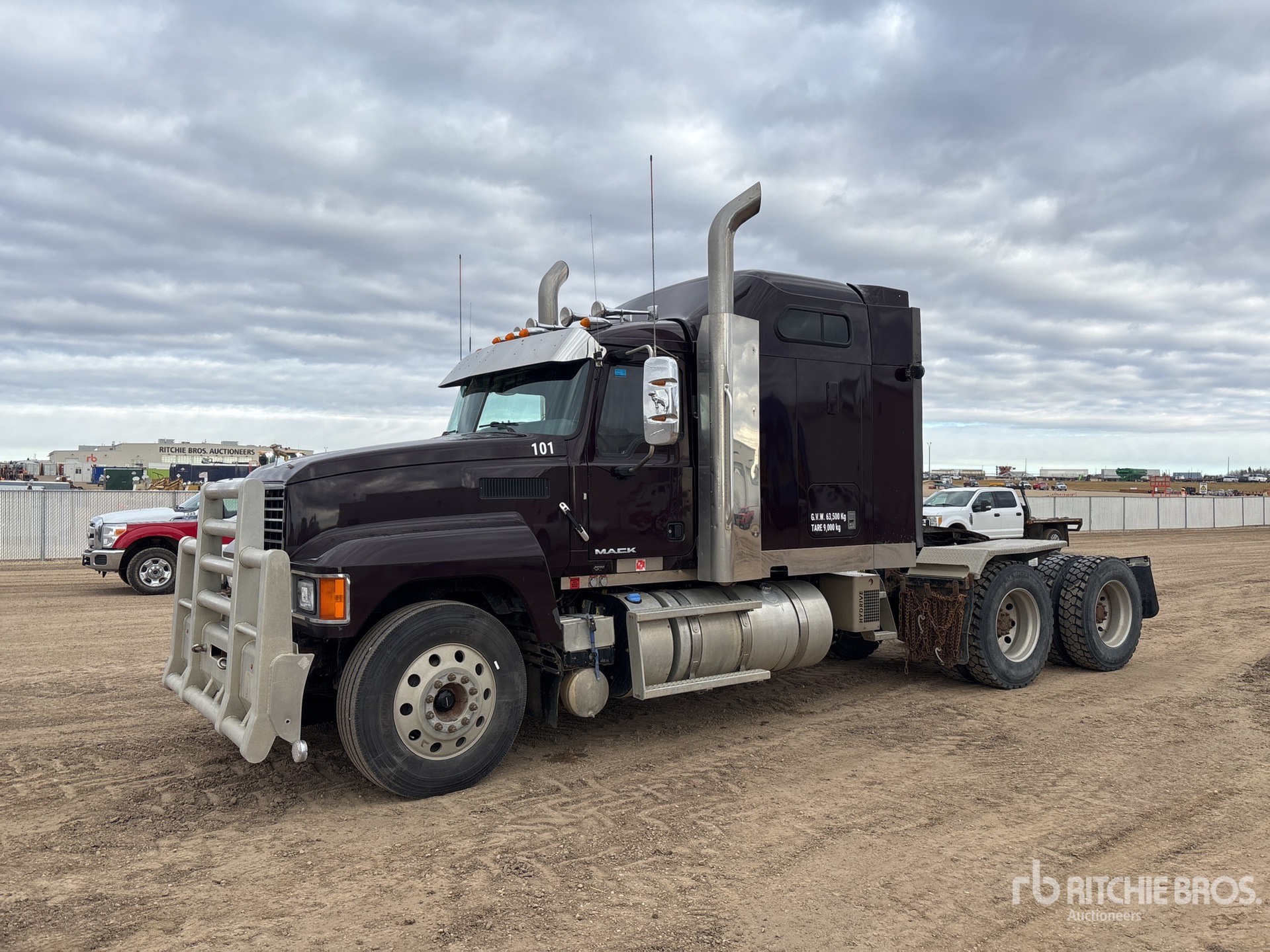 General Appearance with Spin