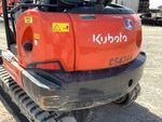 General Appearance with Paint