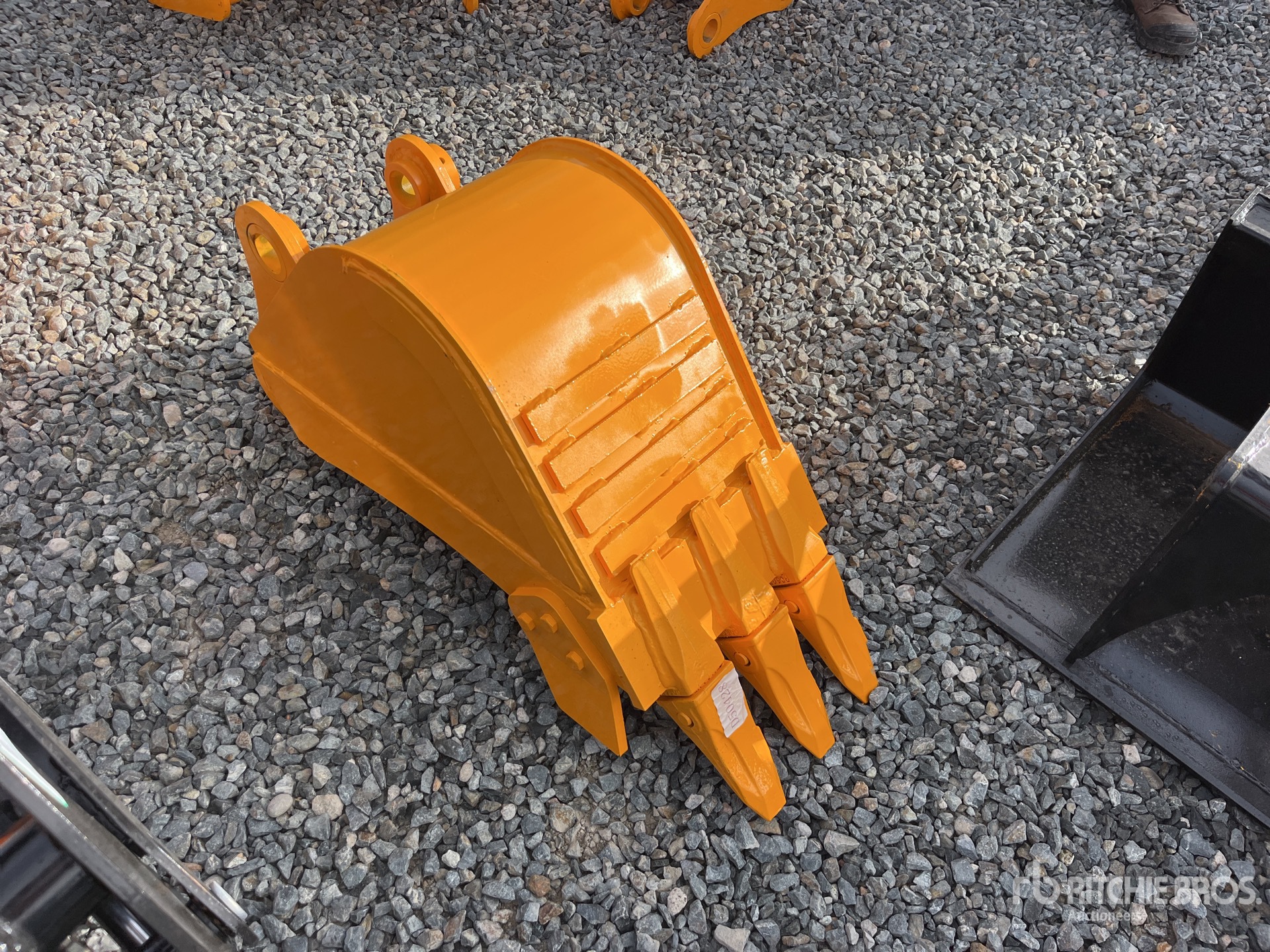 General Appearance with Foto, angolo anteriore sinistro