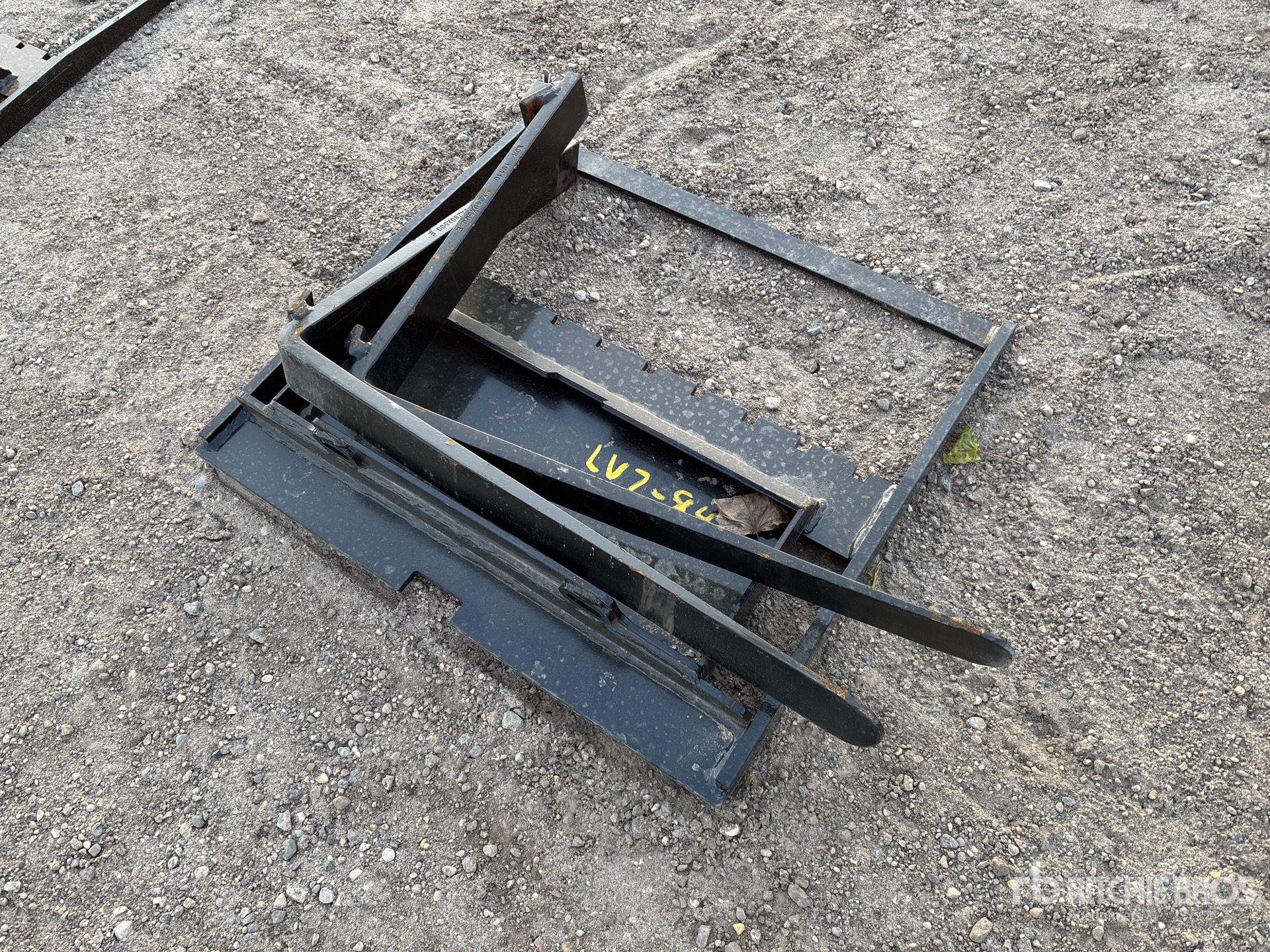 General Appearance with Foto, angolo anteriore sinistro