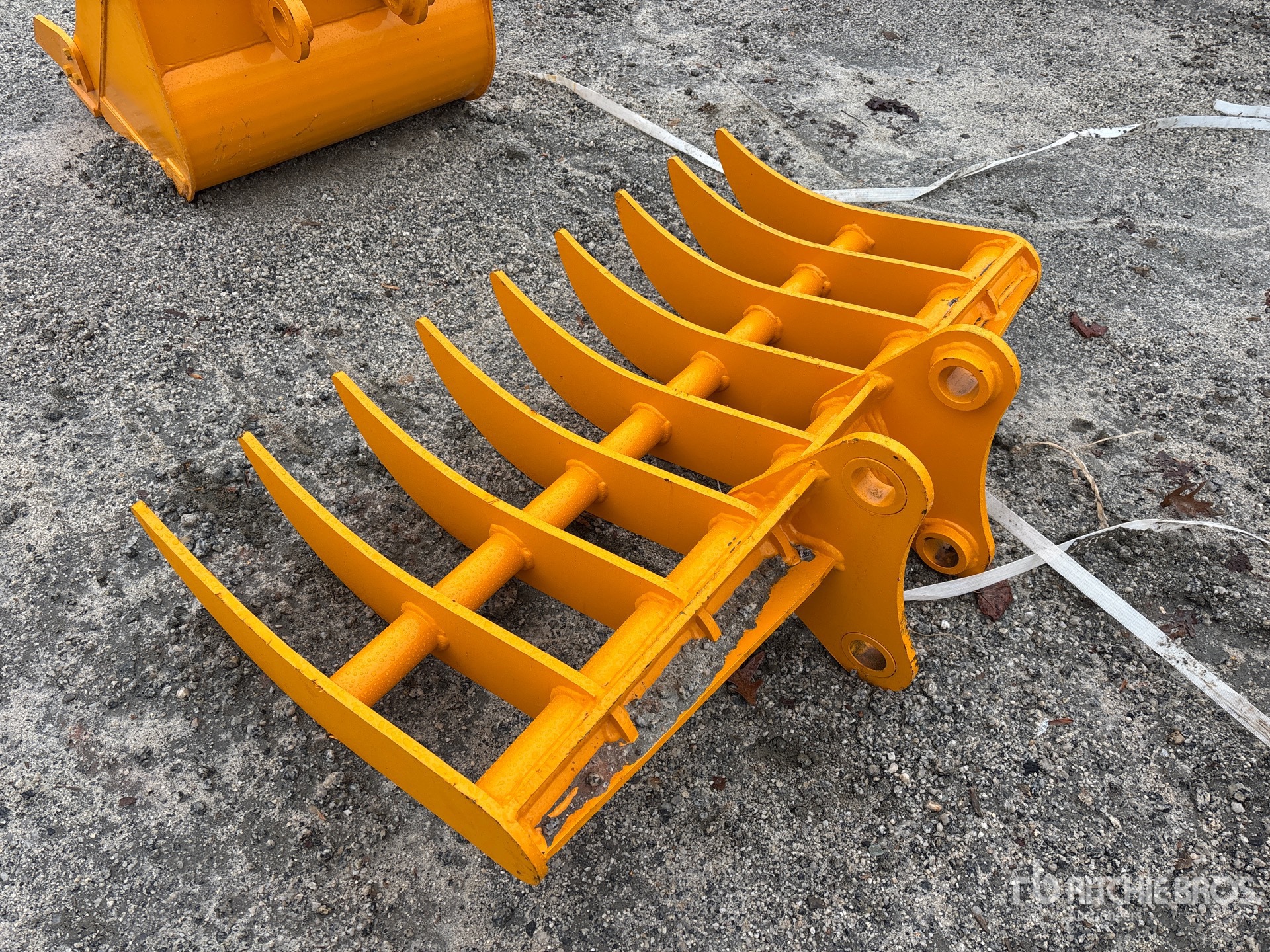 General Appearance with Zdjęcie, lewy dolny róg