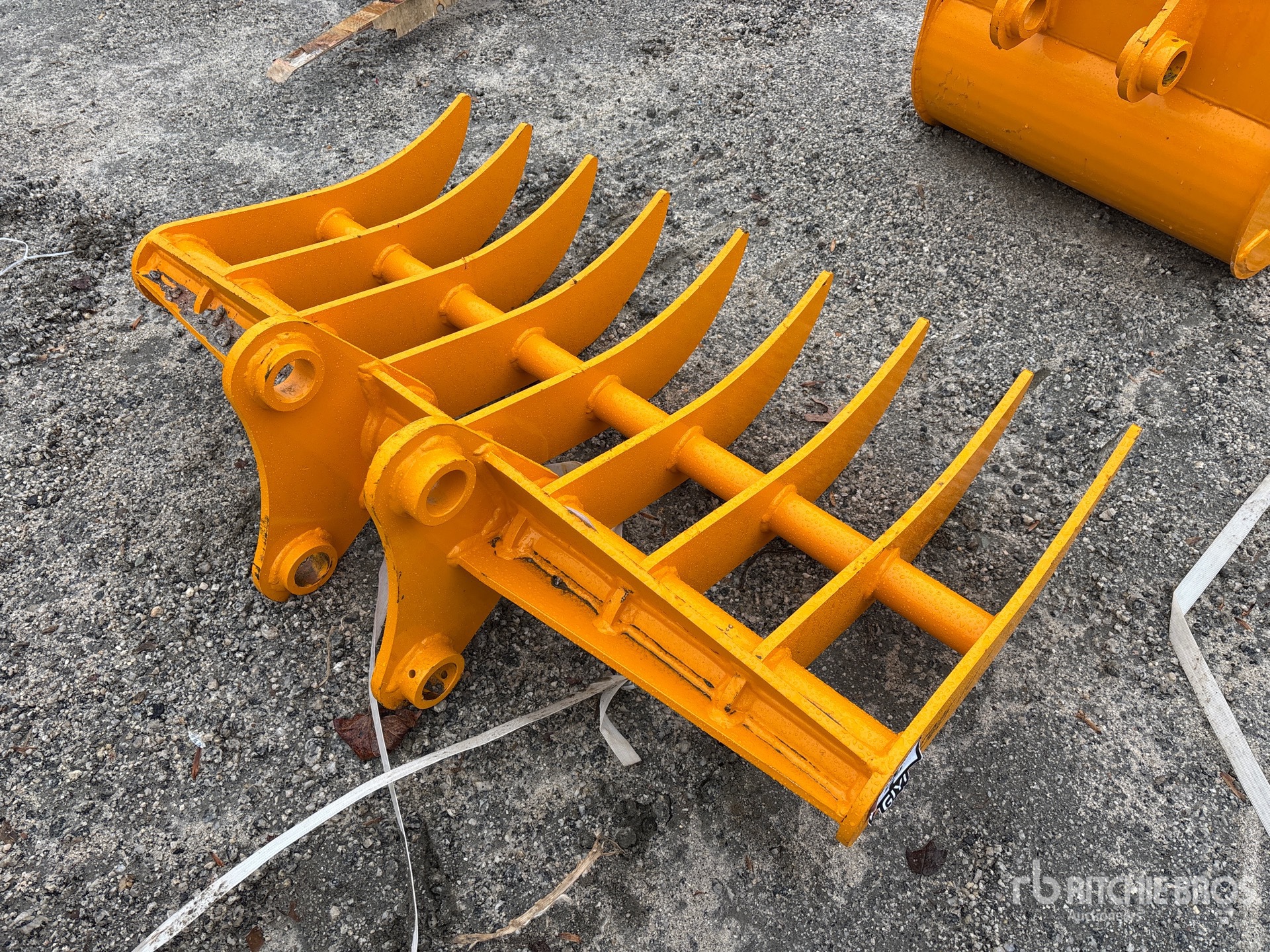 General Appearance with Zdjęcie, prawy dolny róg