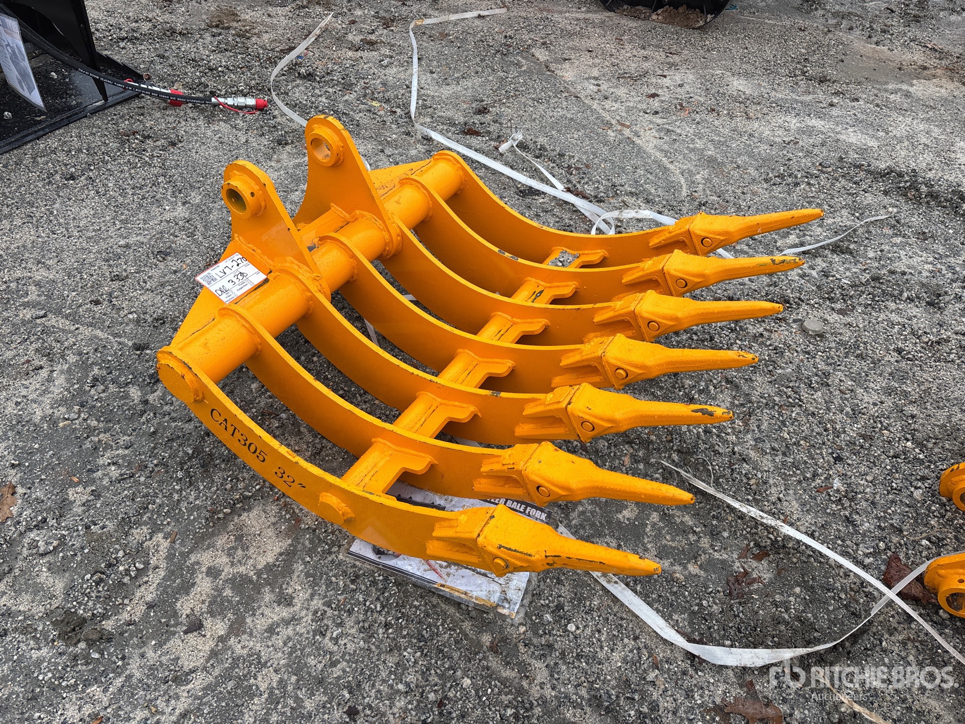 General Appearance with Zdjęcie, prawy górny róg