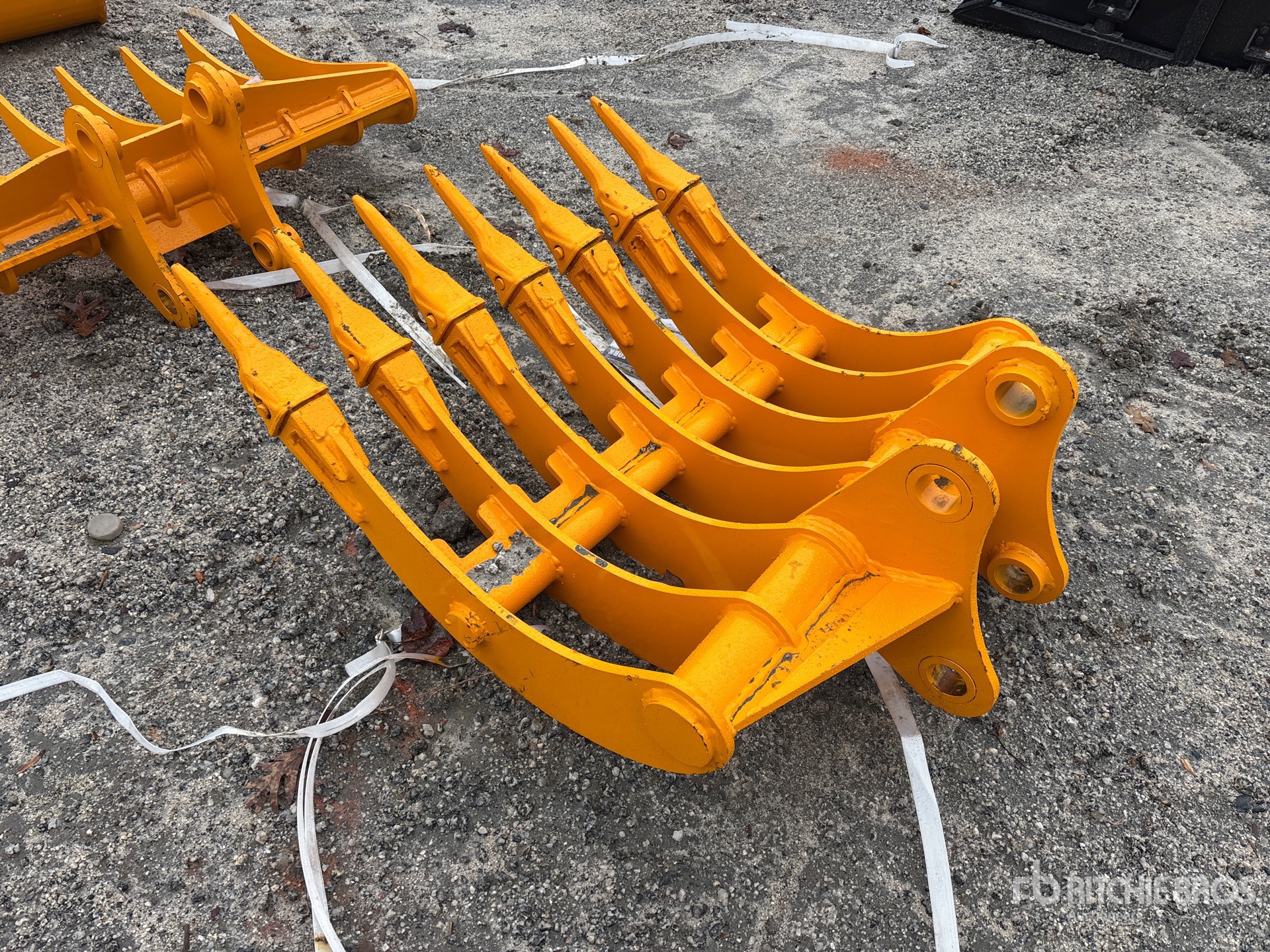 General Appearance with Zdjęcie, lewy dolny róg