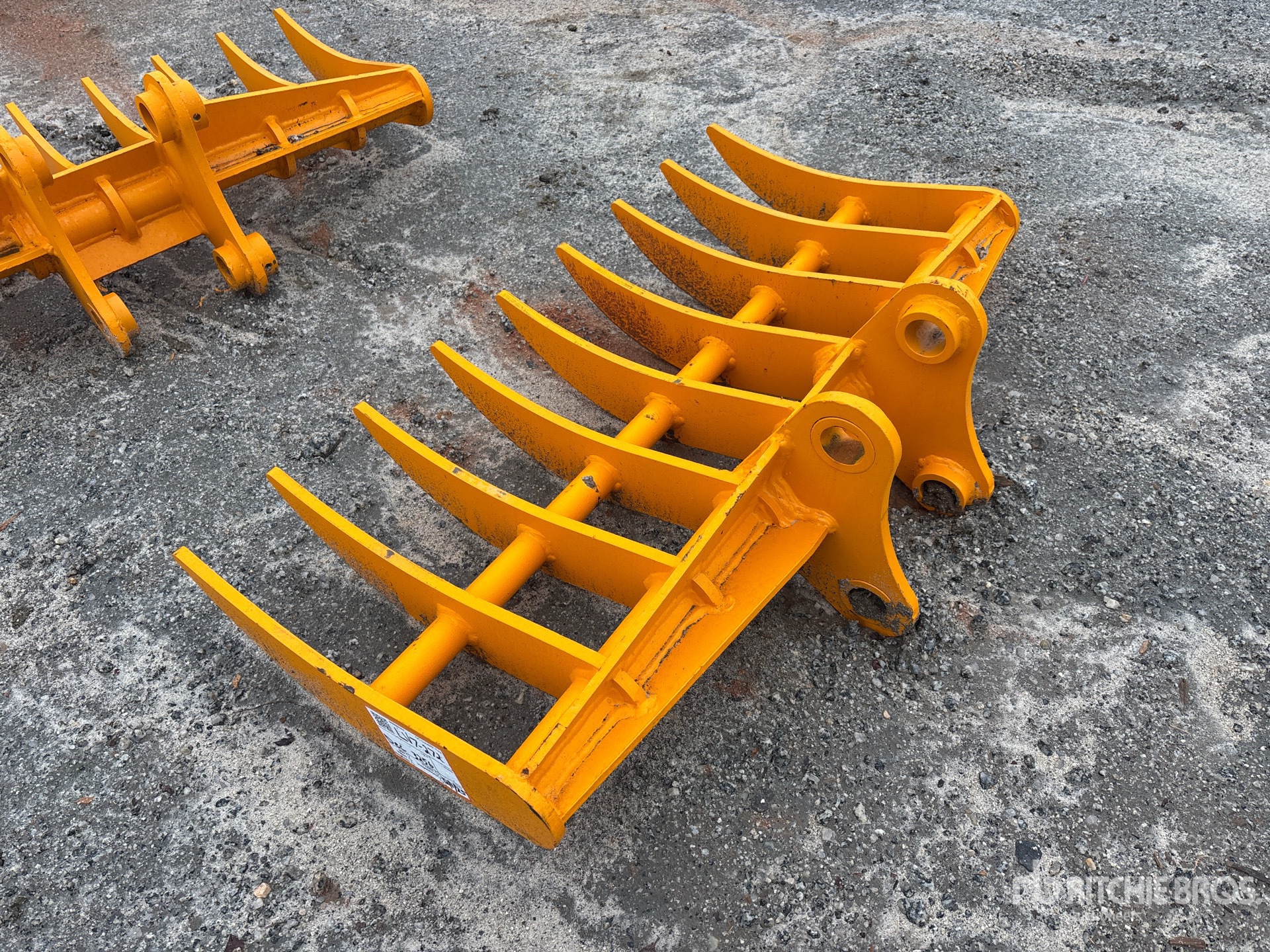 General Appearance with Zdjęcie, lewy dolny róg