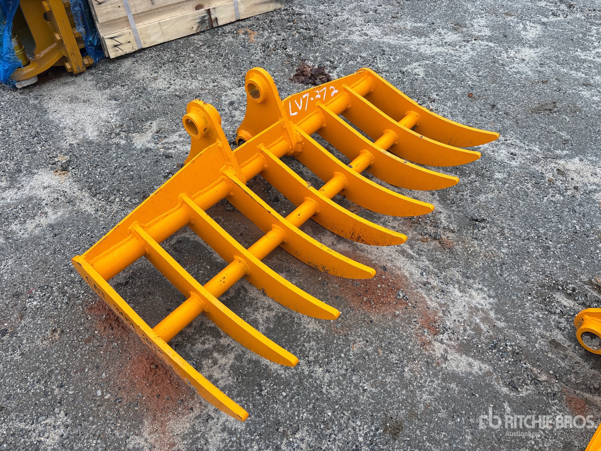 General Appearance with Zdjęcie, prawy górny róg