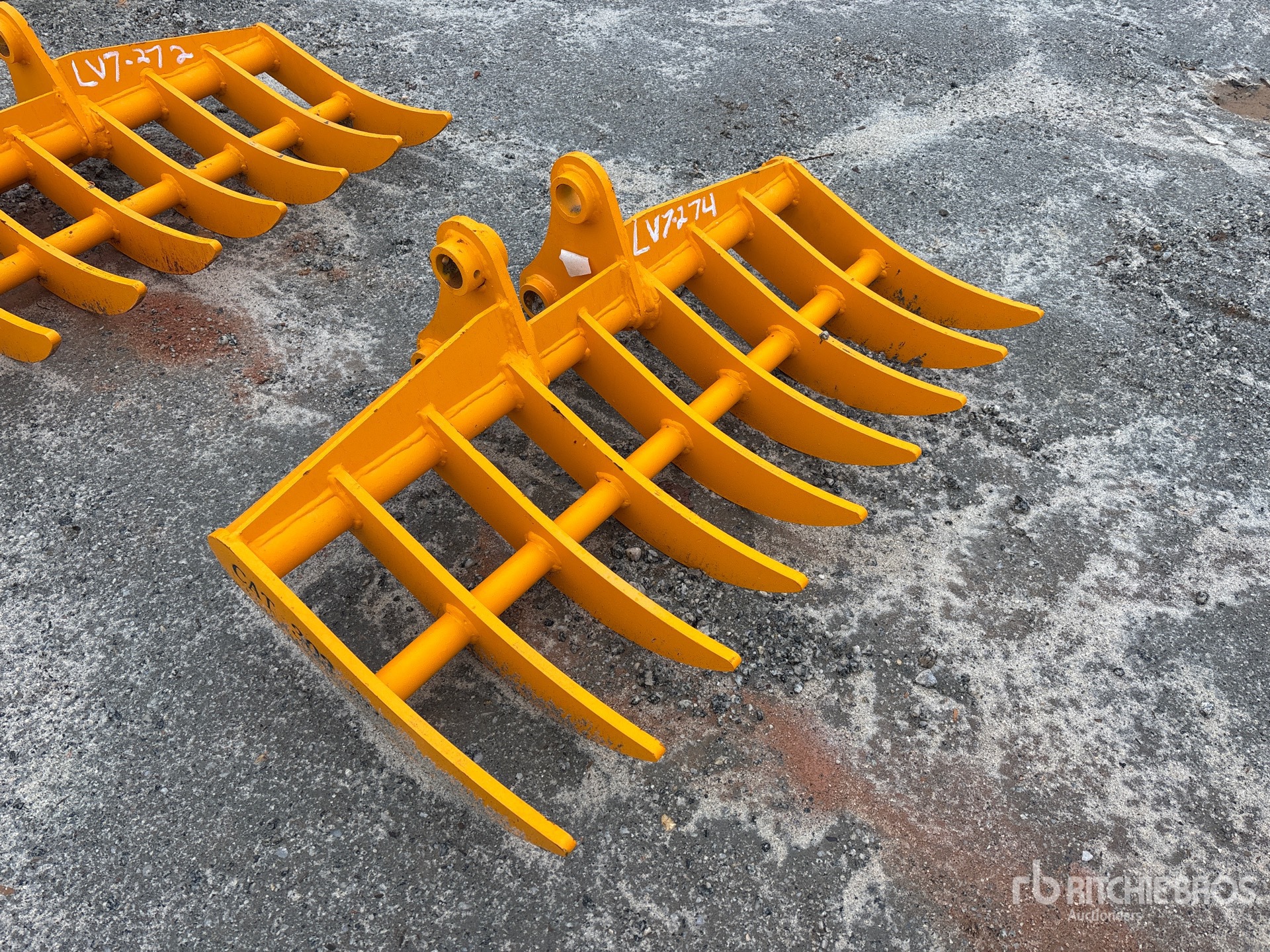 General Appearance with Zdjęcie, prawy górny róg