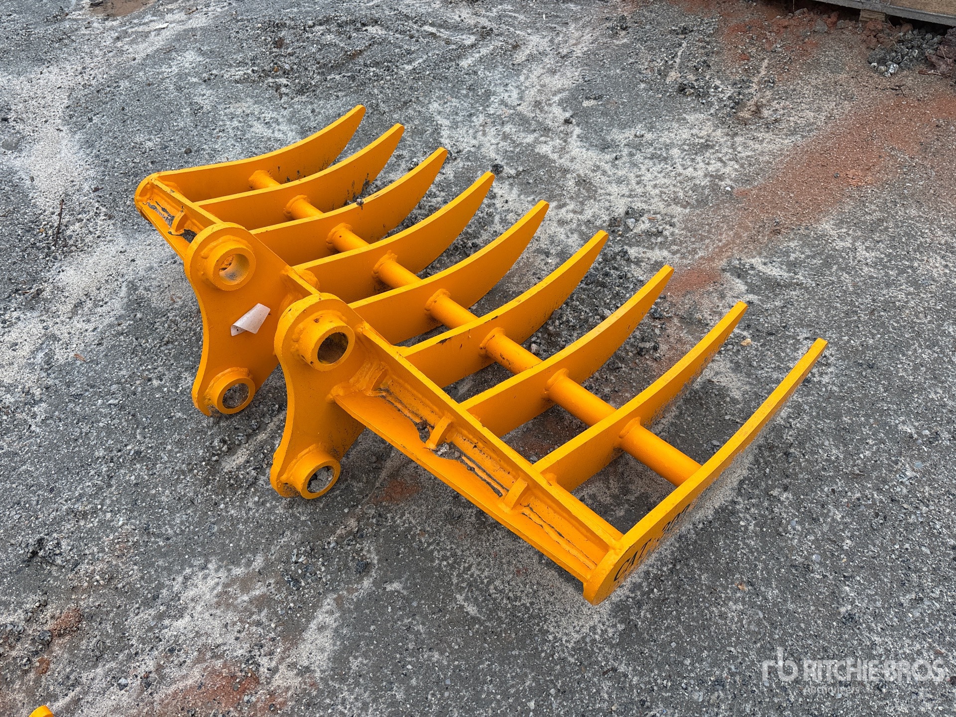 General Appearance with Zdjęcie, prawy dolny róg