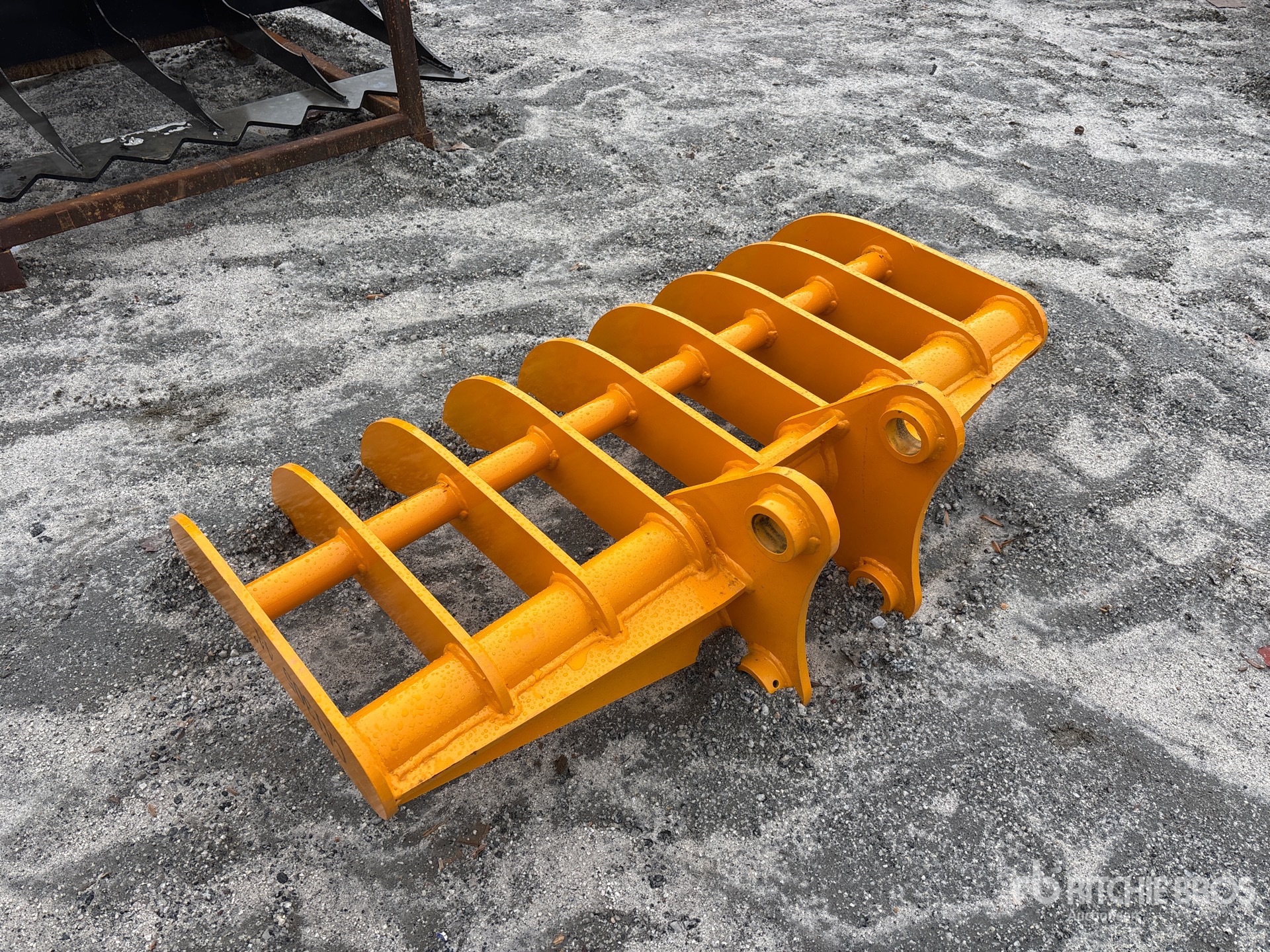 General Appearance with Zdjęcie, lewy dolny róg