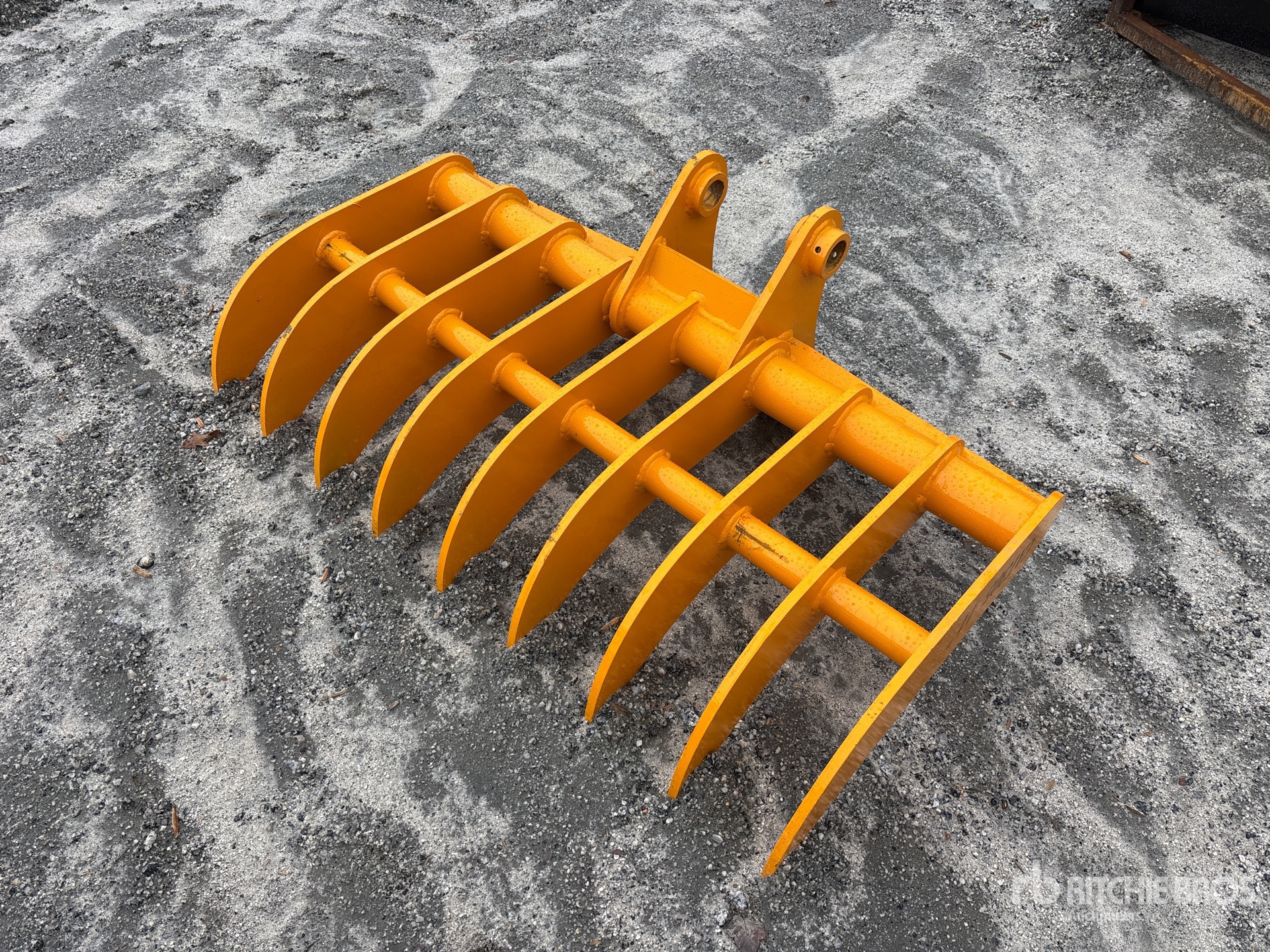 General Appearance with Zdjęcie, lewy górny róg