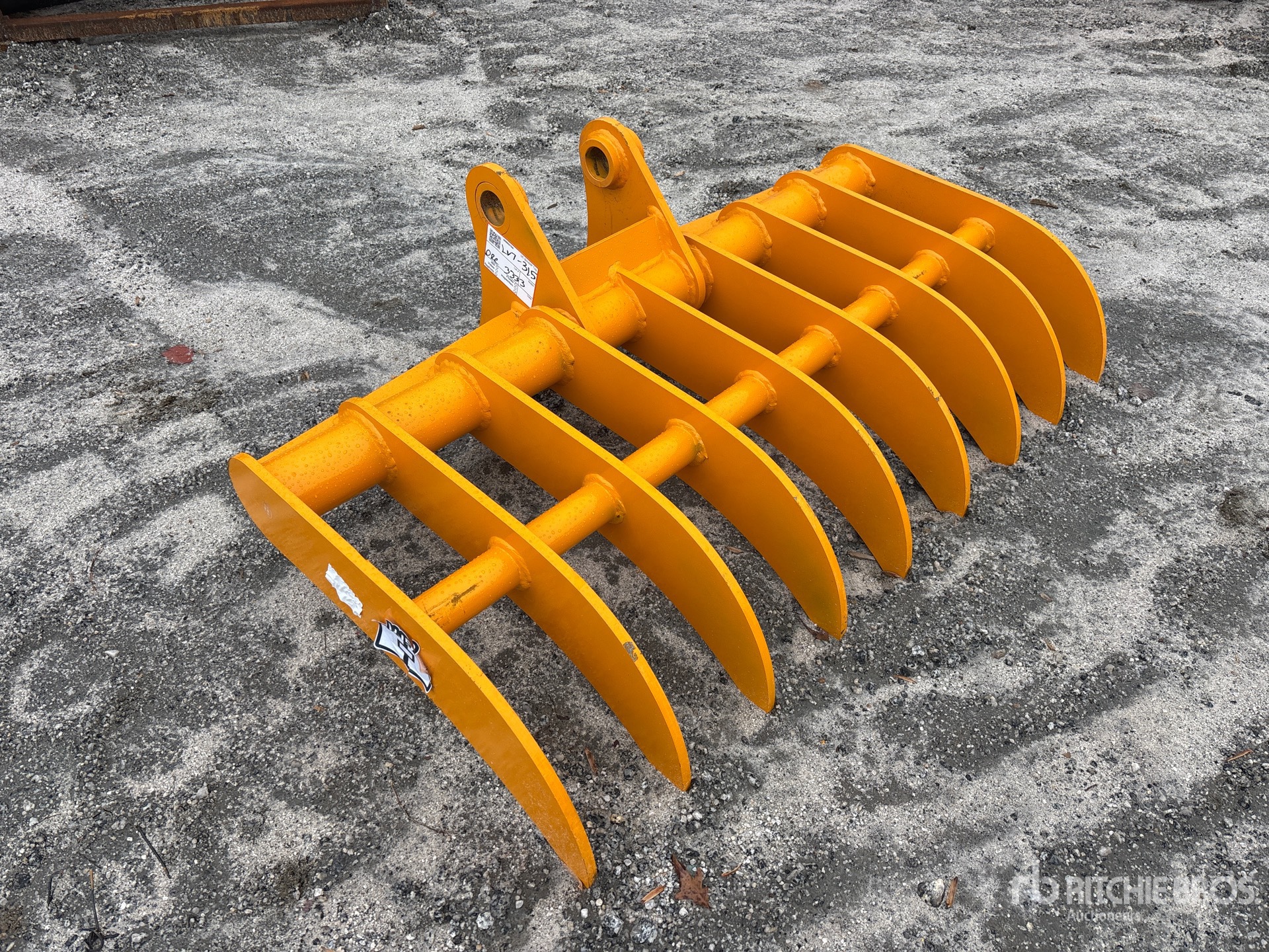 General Appearance with Zdjęcie, prawy górny róg